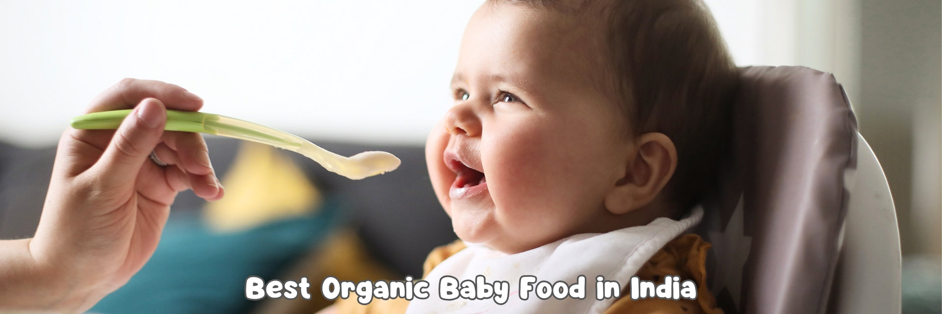 Best Organic Baby Food in India