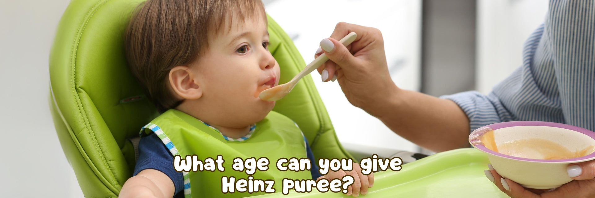 What age can you give Heinz puree?