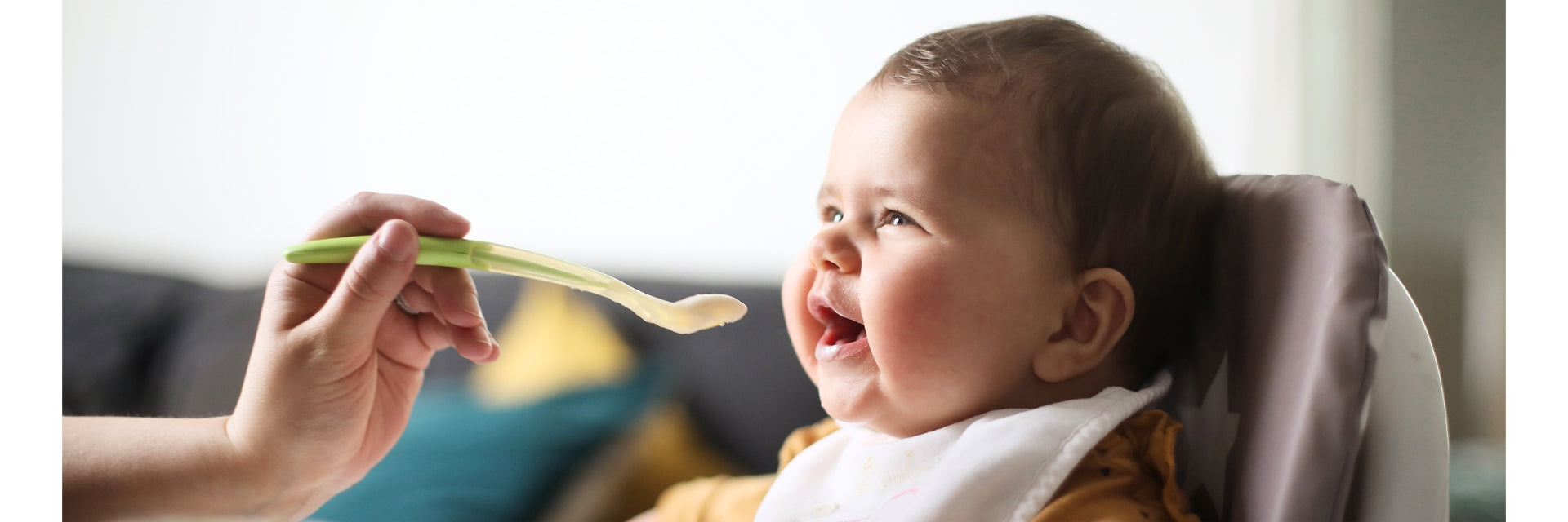 Best Organic Baby Food in India