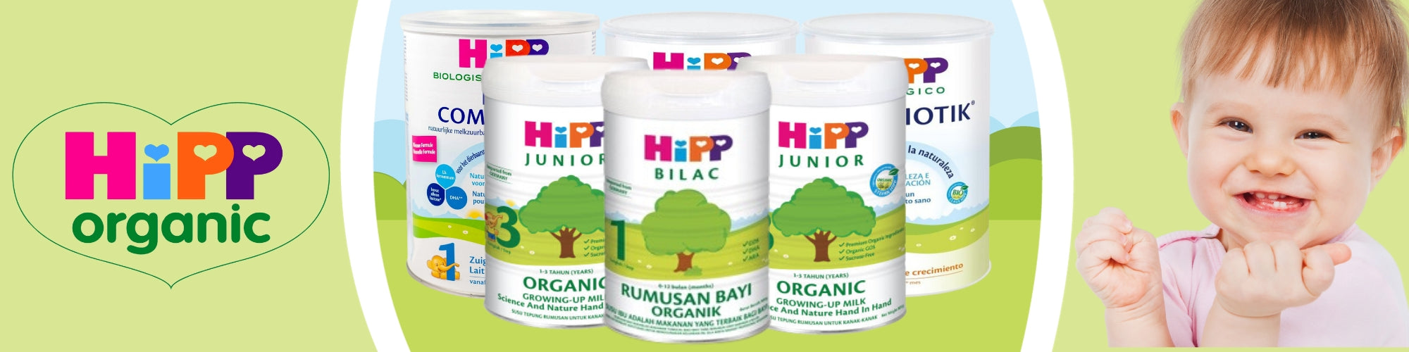 Hipp Organic Milk Formulas