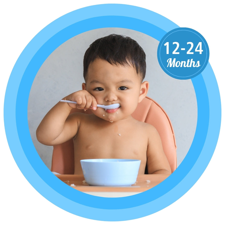 Buy Baby Food Online Baby Food & Infant Formula for Baby at kidscity