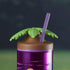 Acrylic Sipper, Cup, Tumbler Frosted with Straw and Lid for Water, Juice, Milk and other Bevrages - 468ml (KT-009-C)