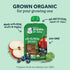 Gerber Organic for Baby, 2nd Foods for Sitter, 99g (3.5oz) - Apple Zucchini Spinach Strawberry